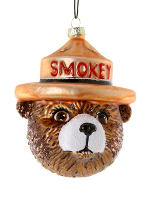 Cody Foster SMOKEY the Fire Prevention Bear Educational Glass Ornament