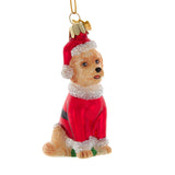 Kurt Adler Noble Gems Glass Goldendoodle Dog Christmas Ornament with Santa Hat Suit 3.5" Tall