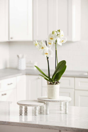 White Beaded Pedestal Serving Riser Trays Set of 2