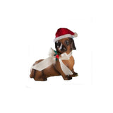 Bethany Lowe Furry Friend Dachshund Dog 3.75" Christmas Tree Ornament