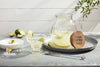 Margarita Lime and Salt Rimmer Drink  Plate Set, White