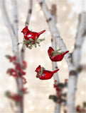 Mid West 3" Kissing Krystals Red Cardinal Bird Christmas Ornament Set of 3