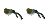 Green Hues Nature Woodland Forest Feather Birds Christmas Ornament Set of 2