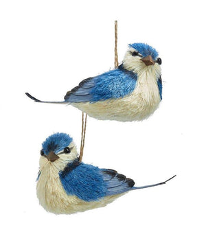 5" Blue Jay North American Sisal Bird Ornament Set of 2