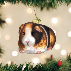 Guinea Pig Family Pet 2.25" Christmas Painted Glass Ornament