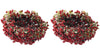 6" Frosted Bird Nest with Red Berries Clip-On Christmas Ornament Set of 2